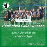 U13-Junioren steigt in die Verbandsliga auf!